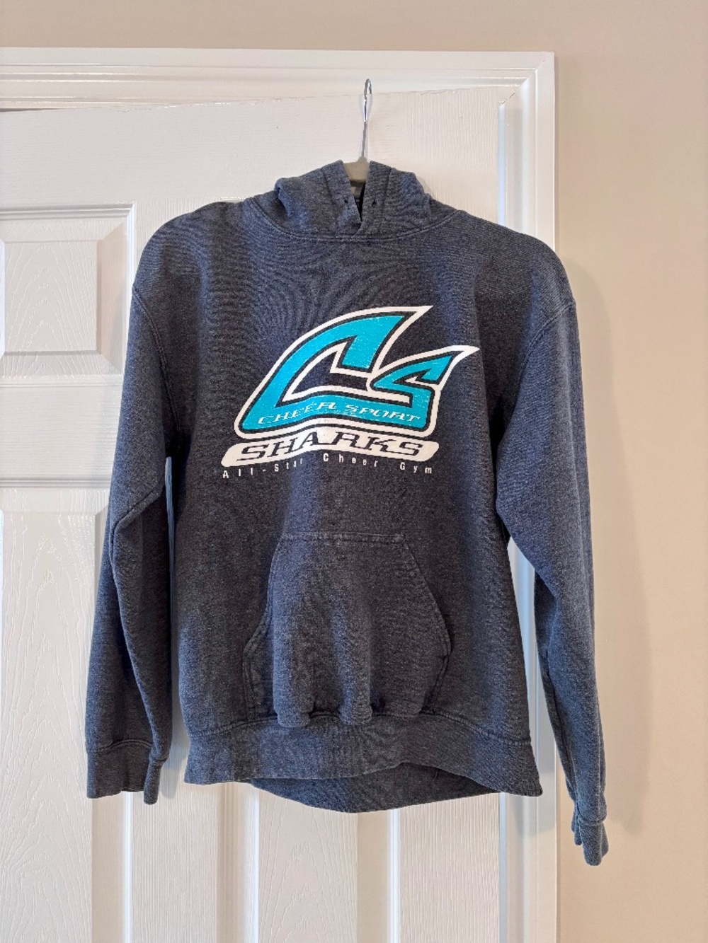 Adult Small Sharks Hoodie